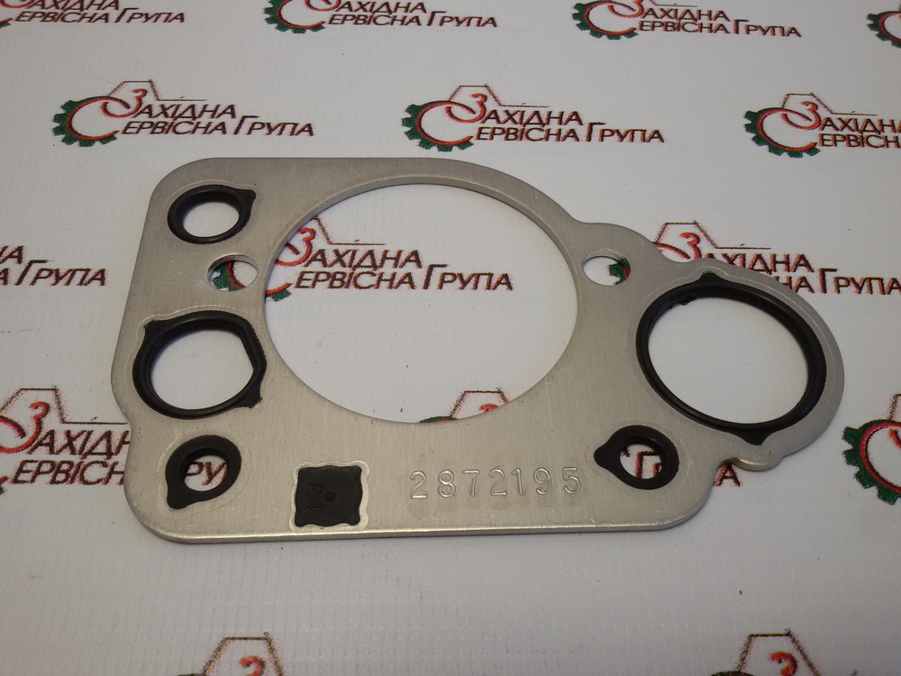 Прокладка паливного насоса Cummins ISX, QSX, 2872195, 4954472, 4062005