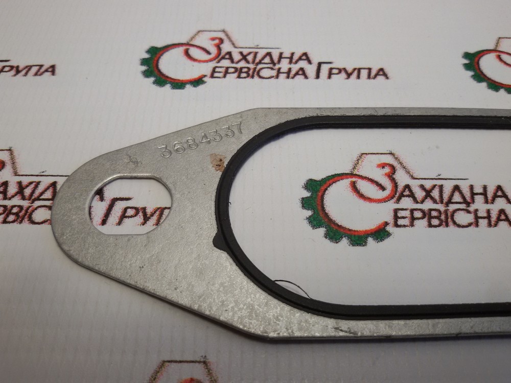 Прокладка підігрівача двигуна Cummins ISX, QSX, 3684337, 3688557