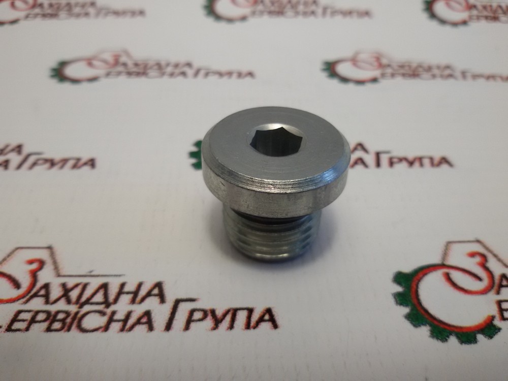 Заглушка блока циліндрів Cummins B5.9, QSB, ISB, 6CT, QSC, QSL, 3678921, J678921, 76195106, 75312924