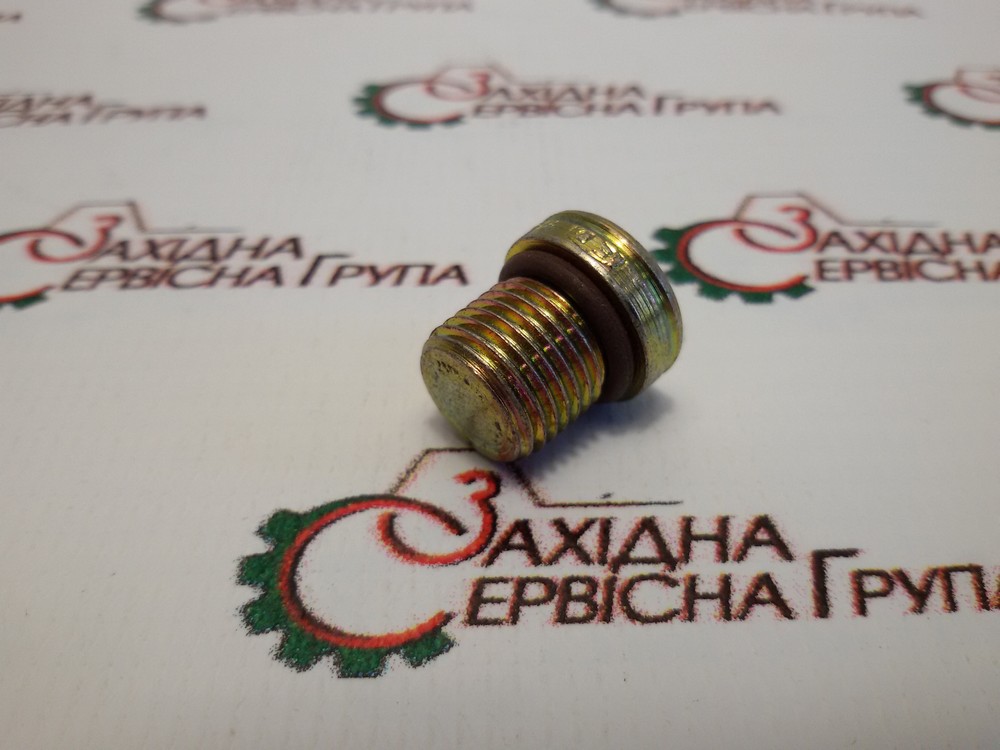 Заглушка різьбова Cummins ISX, QSX, 4002056