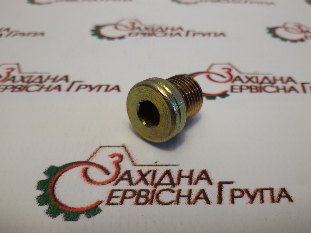 Заглушка різьбова Cummins ISX, QSX, 4002056
