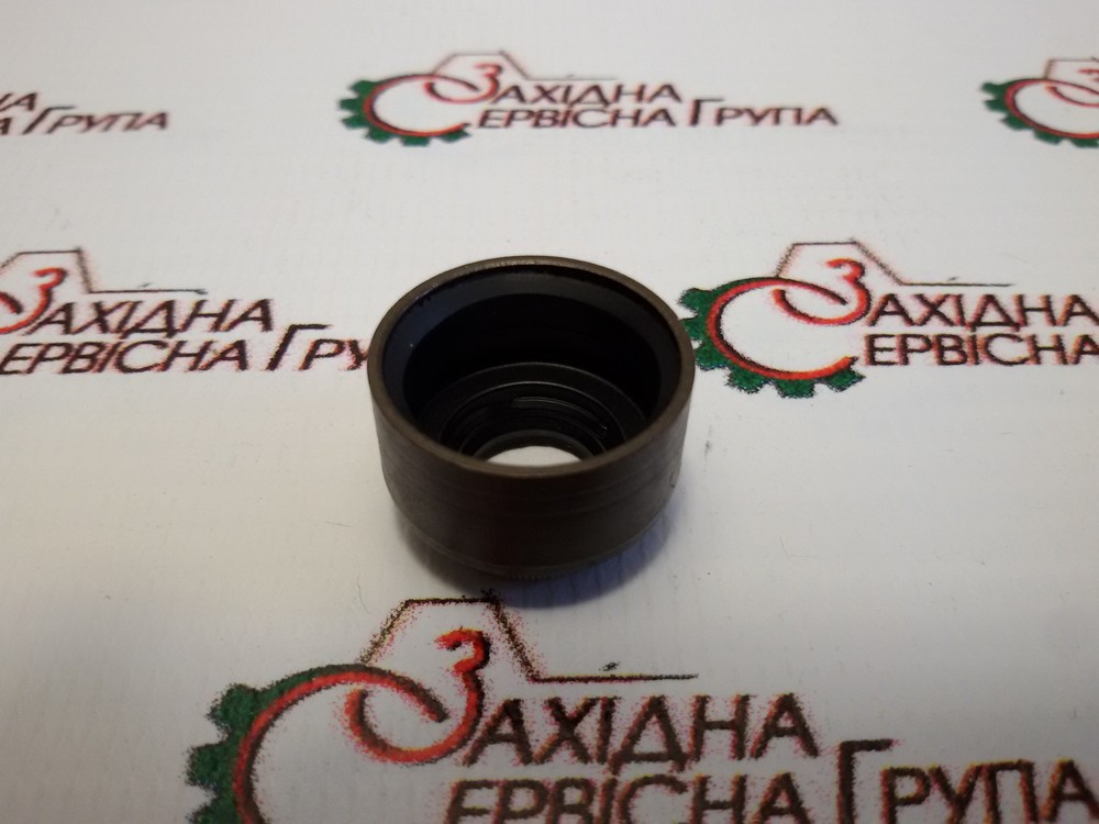 Сальник клапана двигуна Cummins ISX, 4026660