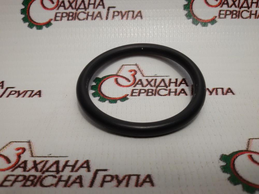 Кольцо уплотнительное стакана форсунки Cummins ISM, QSM, 3035026