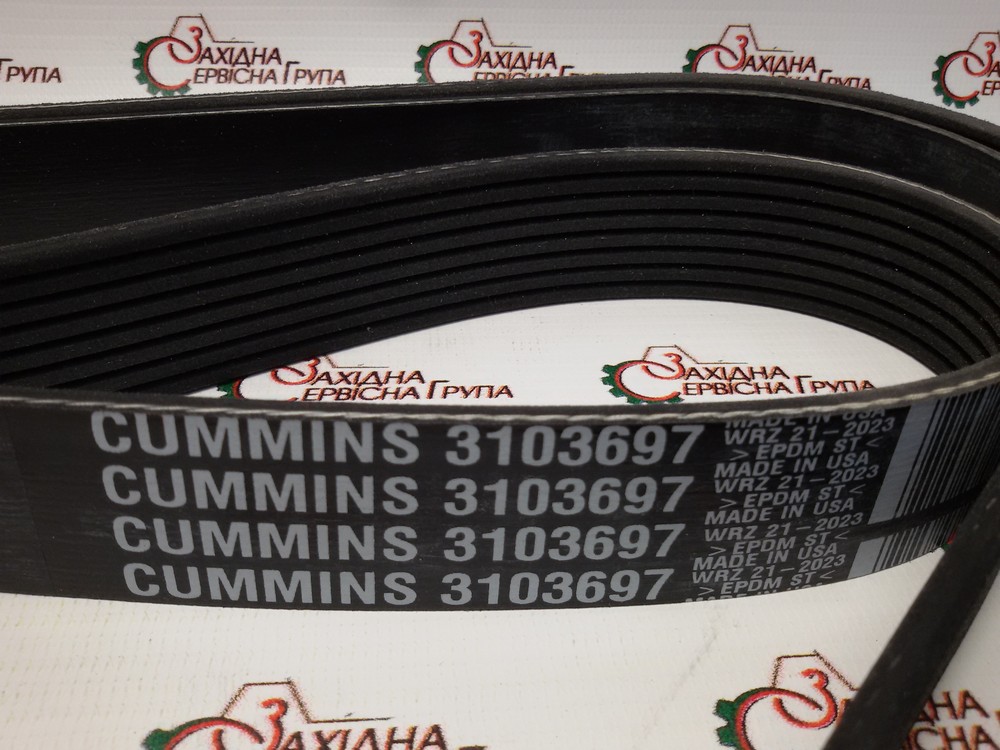 Ремінь генератора і водяного насоса Cummins ISM, QSM, 3103697