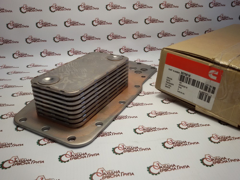 Маслоохолоджувач Cummins QSB 3975818