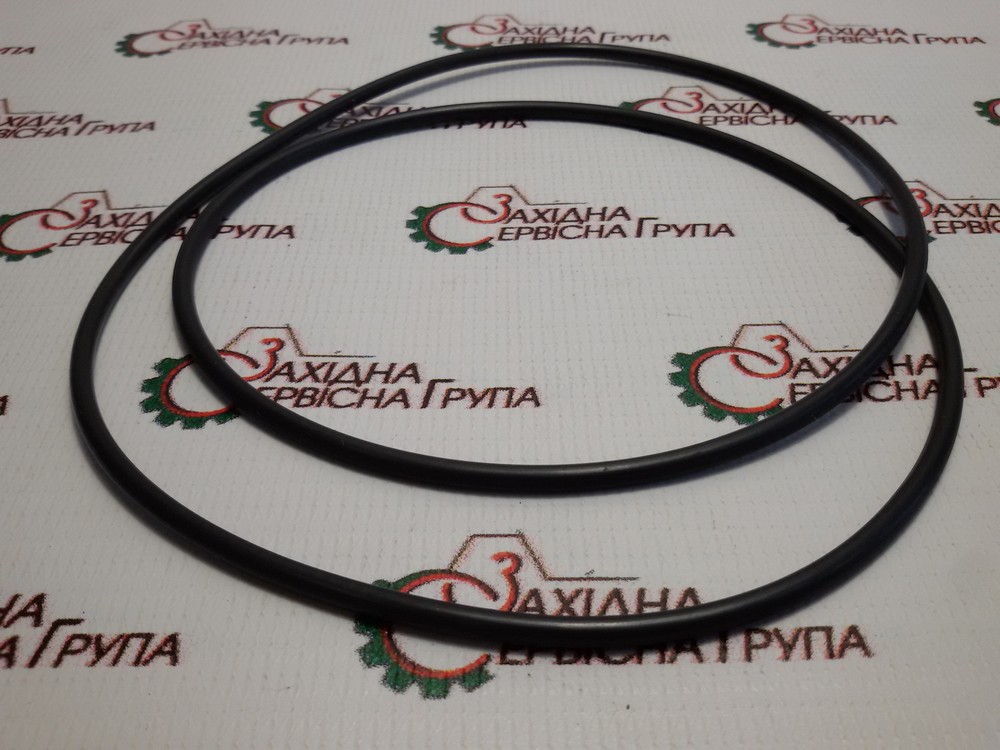 Кольцо уплотнительное натяжного ролика Cummins K19, KTA19, KTTA19, 4922501, 3000859, 206847