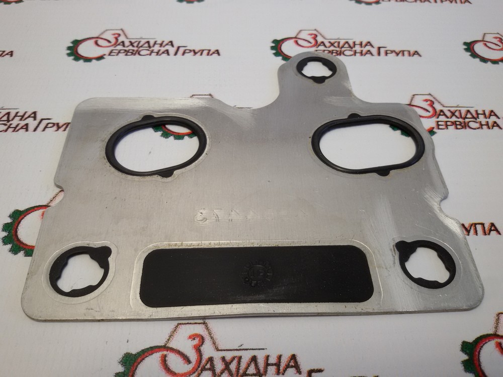 Прокладка насоса підкачки палива Cummins ISX, QSX, 4954473, 4076586