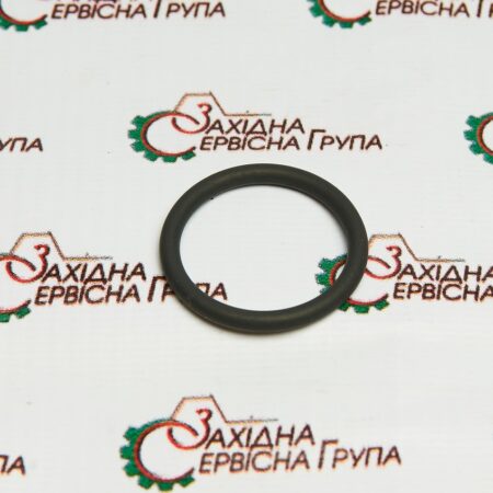 Кольцо уплотнительное форсунки IVECO/FPT Cursor 9, 14463481, 17288881, 81874127, 70926860