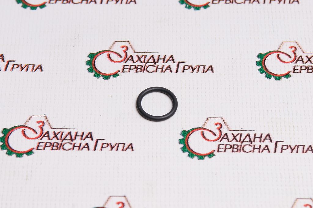 Уплотнение топливной рампы Cummins К19, KTA, KTTA, K50, 3001340