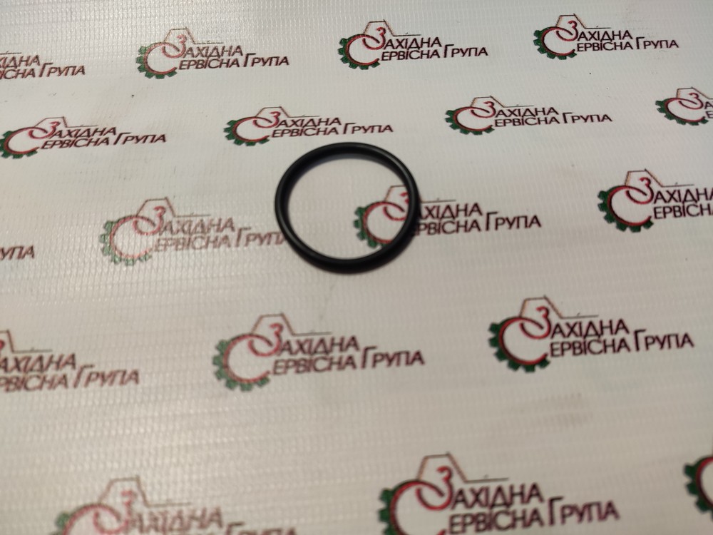 Кільце ущільнююче Cummins ISX, QSX, 3678846