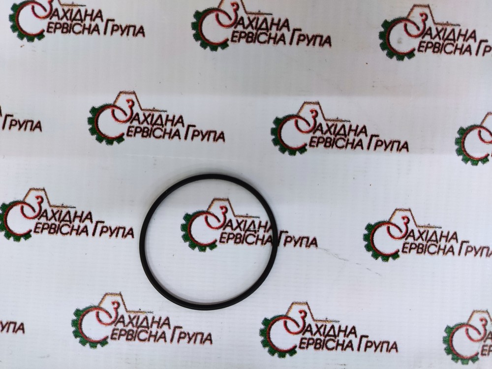 Кільце ущільнююче шестеренчатого паливного насоса Cummins QSX, ISX, 3867481, 4087912