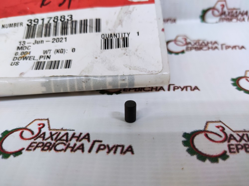Штифт шестерні розподільчого вала Cummins 6CT, 3917883, 3904485, 87453128, J917883, J904485